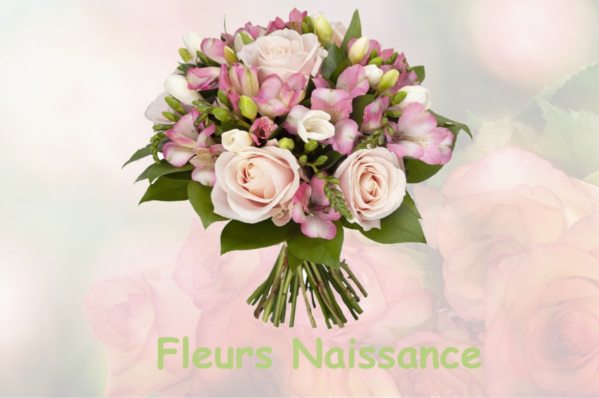 fleurs naissance BOUHANS-LES-LURE
